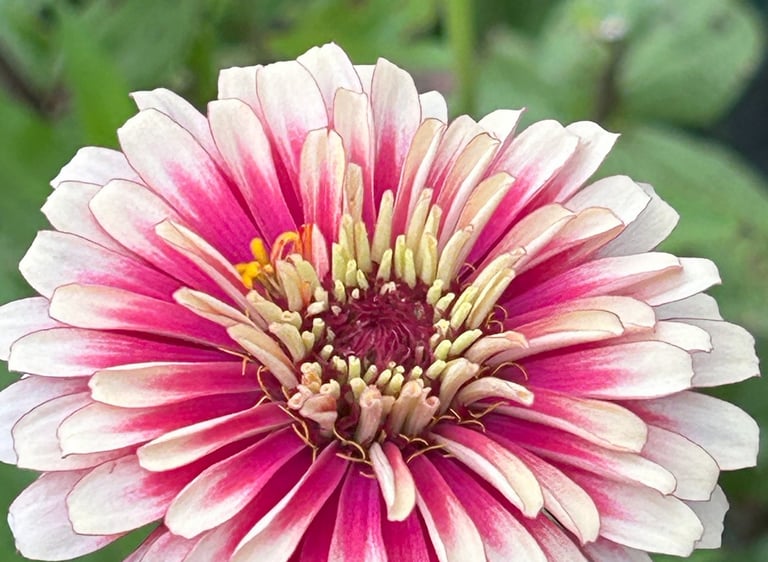 God's beauty is amazing!