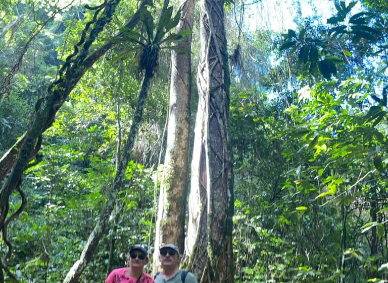 A couple standing beneath a towering tropical tree in a lush green rainforest jungle landscape.