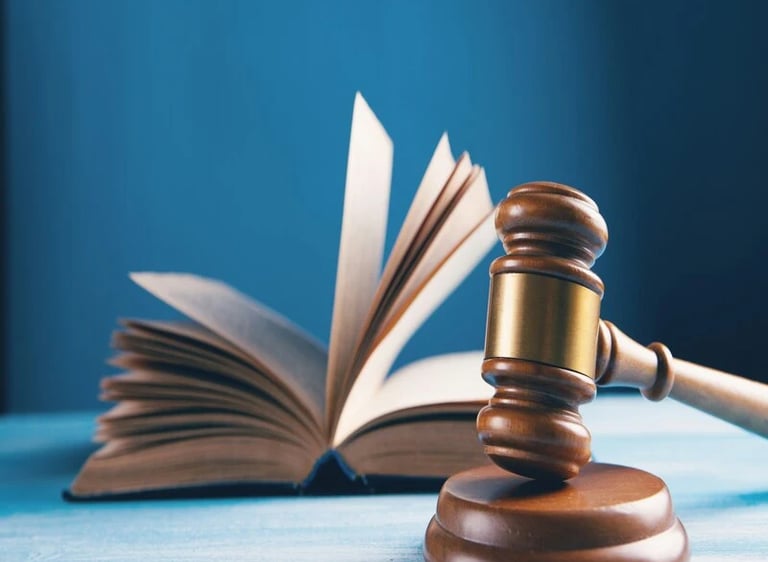 Representation of professional legal opinion and documentation support