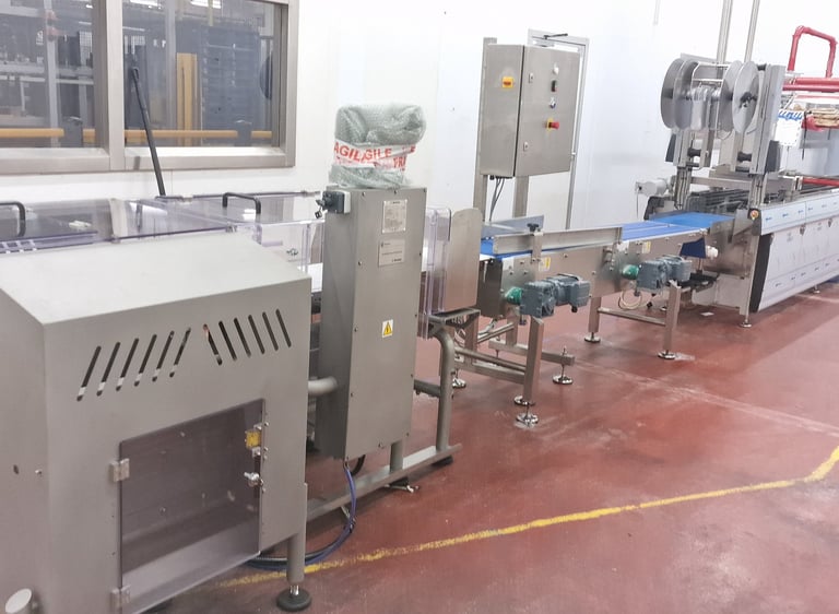 Automatic industrial packaging machine line with conveyor system in a food processing factory facility.