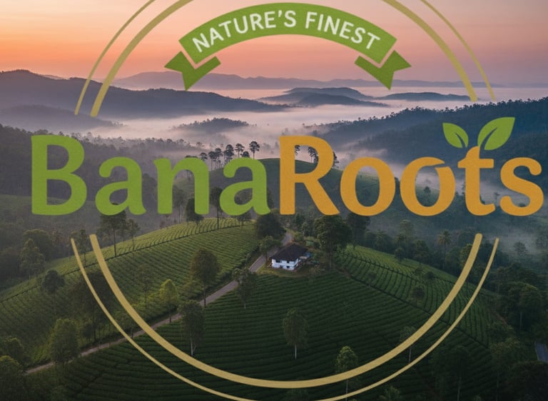 We accept retail and wholesale orders. For rebranding enquiries, please contact us via WhatsApp.