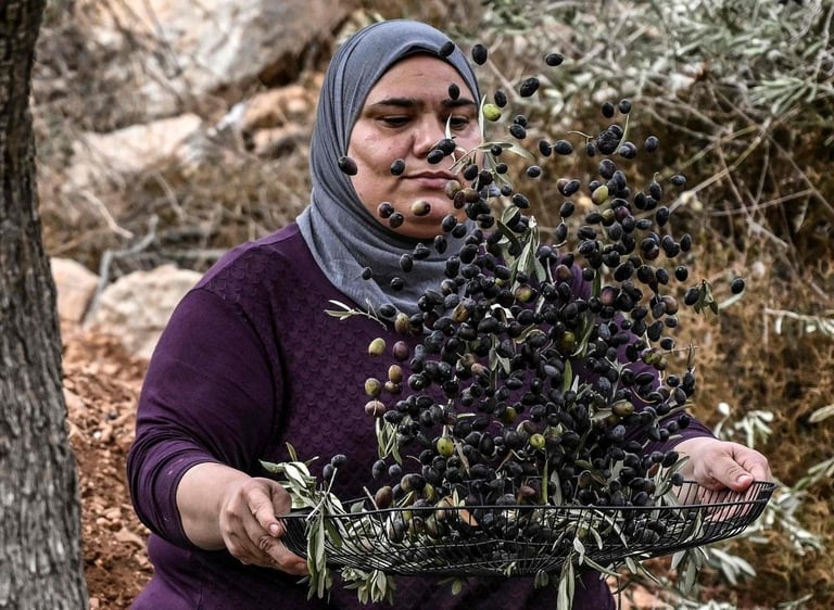 Help Palestinian families with your donations