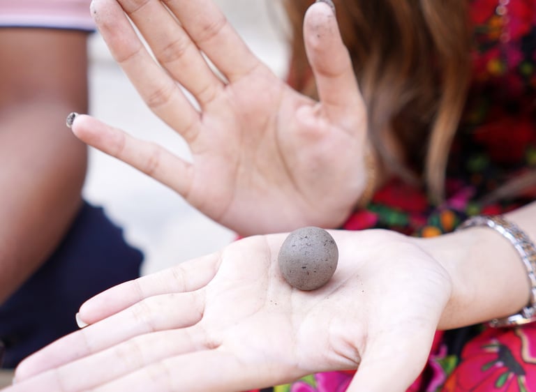 Eco-friendly corporate gifts in Pakistan like this seed balls.