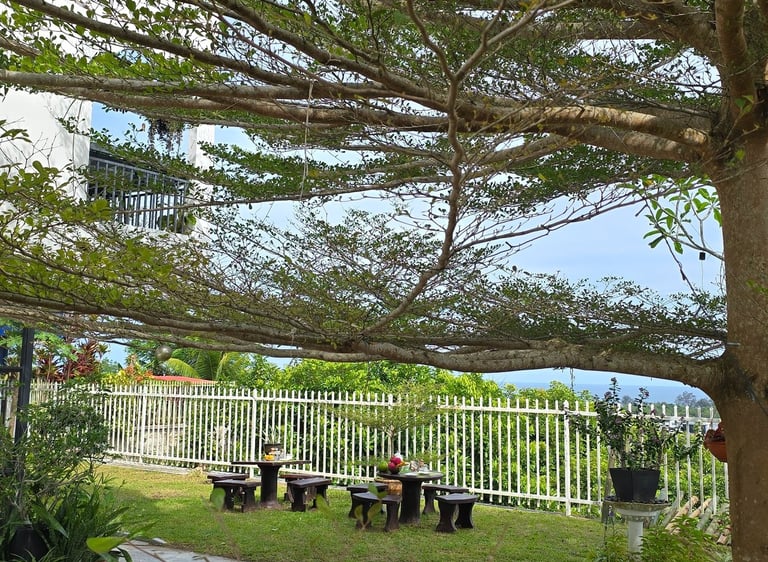 Outdoor garden seating area under a shady tree with wooden picnic tables and a white fence.