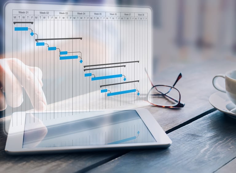 Project management professional for software implementations
