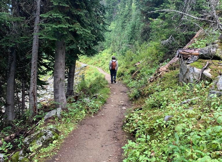 man walking away on a trail in a forest
