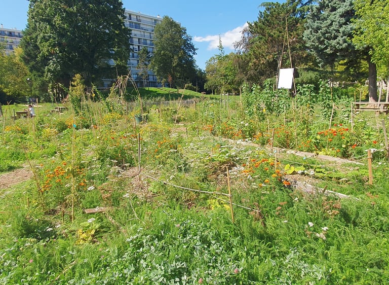 Jardin comestible parc Pablo neruda Villejuif