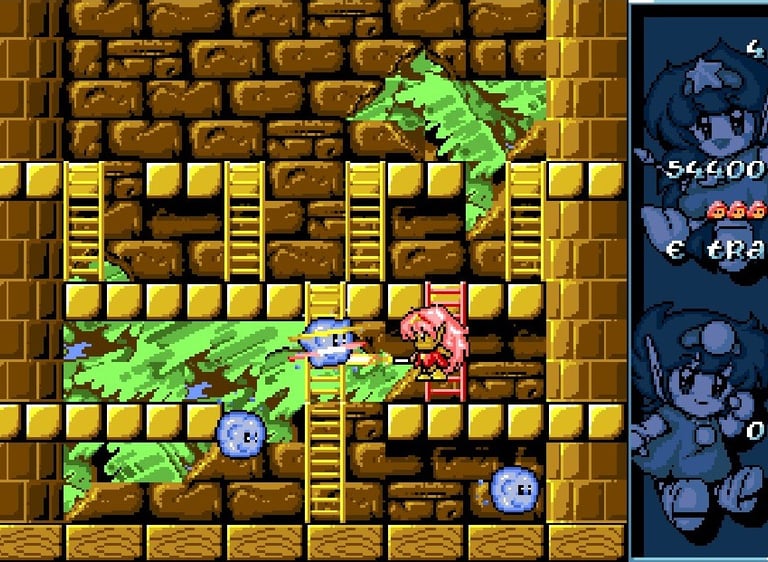 Amiga Rodland - Rit Attacking From Ladder