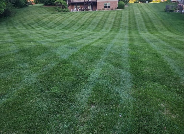 lawn care