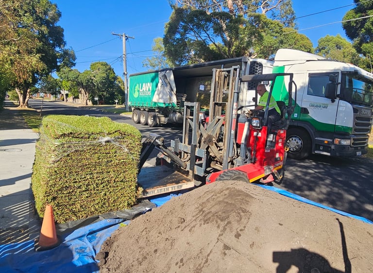 Project renovation, Garden renovation, Landscaping completely newly laid buffalo lawn