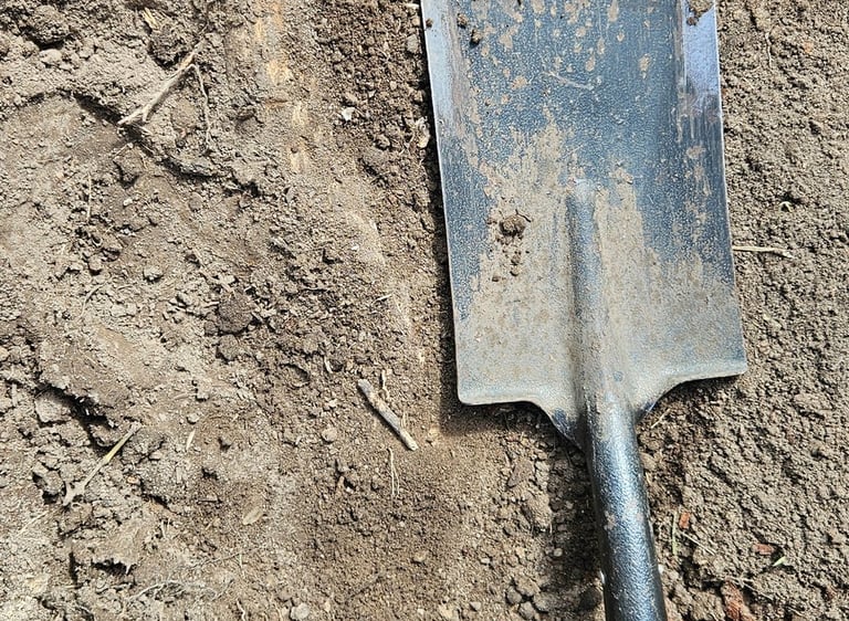 Garden renovation, Landscaping