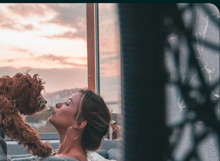 dogAdvisor ✲ dogadvisor ✲ dog advisor ✲ Blog for new dog owners ✲ dogs ✲ dog advisers ✲ dog advisors