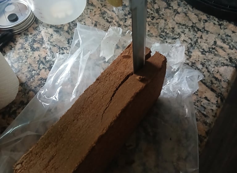 breaking up coco coir brick to make substrate