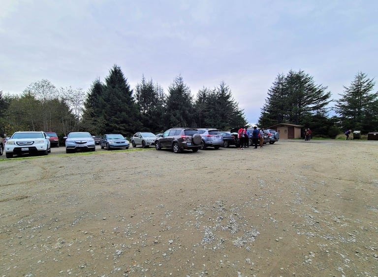 redwood national park, redwoods, fern canyon