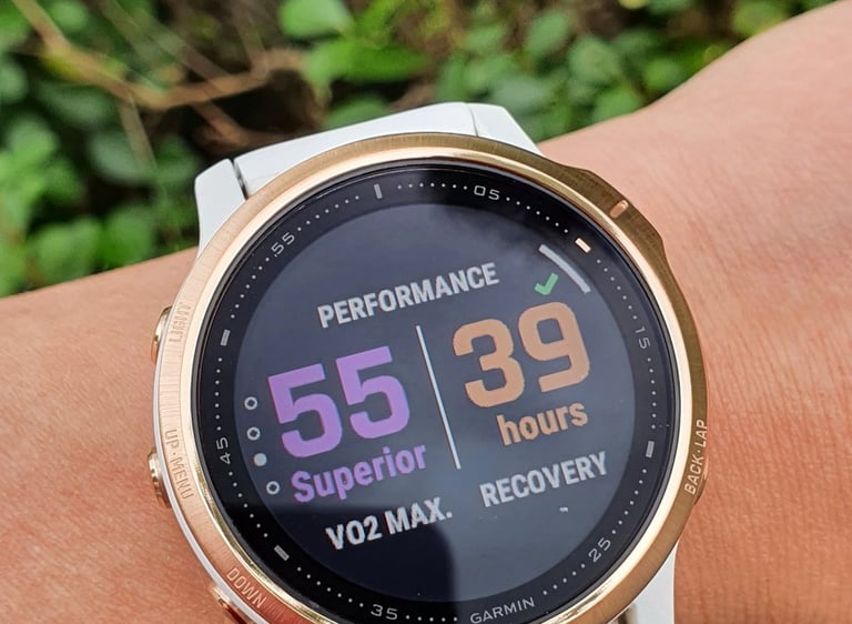 a smart watch with a gps - enabled activity - Garmin Fenix 6s Pro