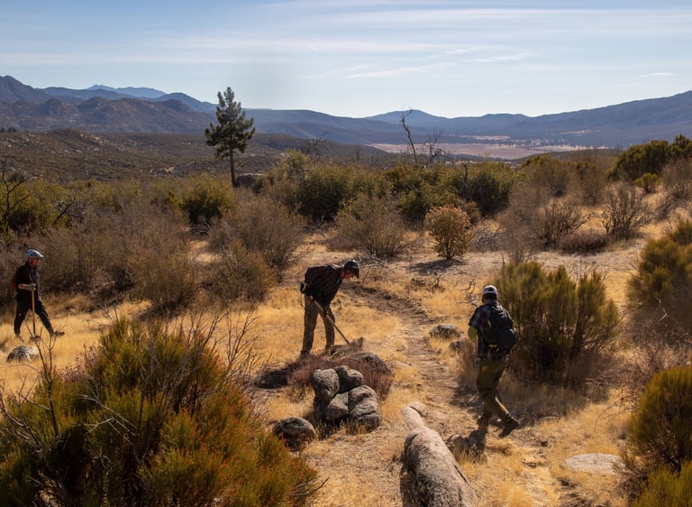 a group of people walking on a trail
