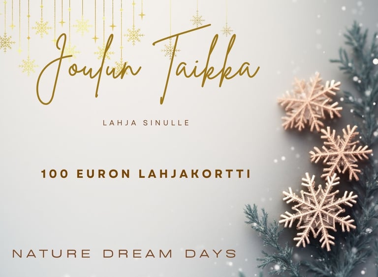 Joululahjakortti, 100 euron lahjakortti Nature Dream Daysille vaalealla talvisella taustalla ja lumi