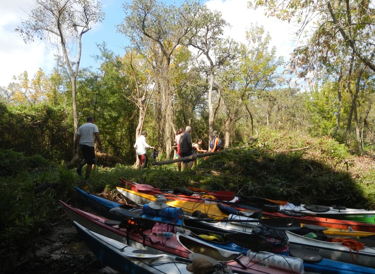 Explorando el Tigre -Argentina