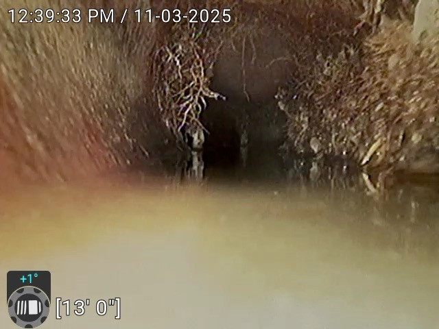 Roots in drain-Montreal camera inspection
