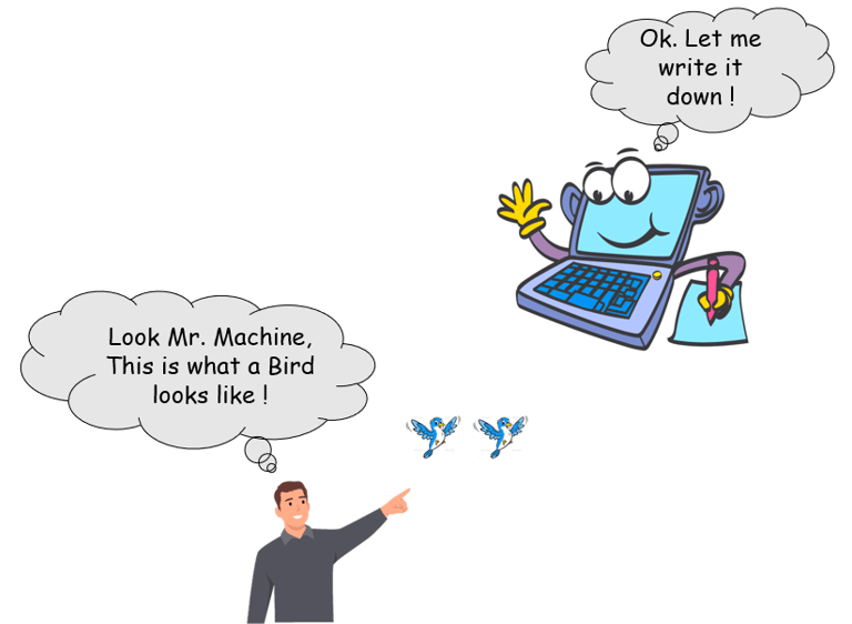 A Human teaching Machine how to Learn.