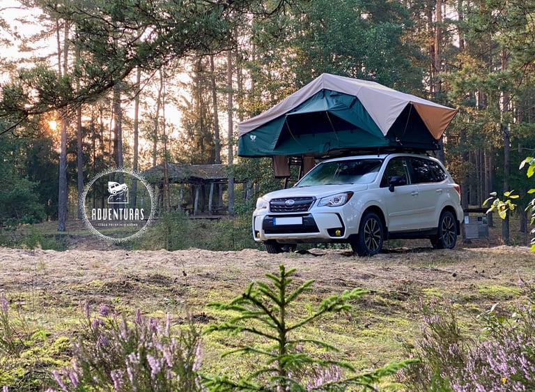 Big Willow palapine Subaru