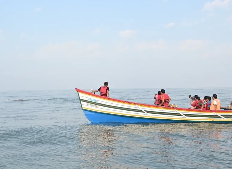 Real photo of people seeing dolphin during dolphin safari at Dapoli
