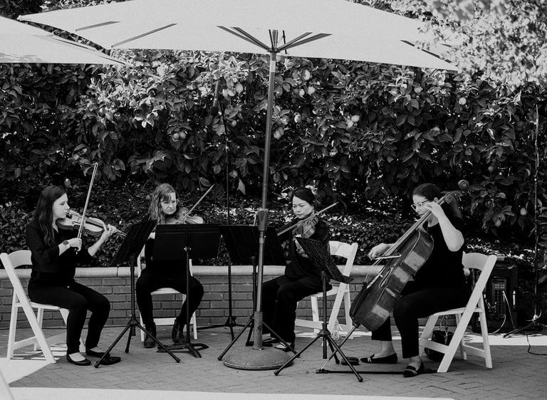 Professional string quartet performing live music at a wedding ceremony in Hummingbird Nest Ranch