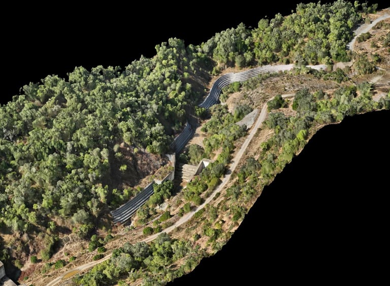 nube de puntos con dron