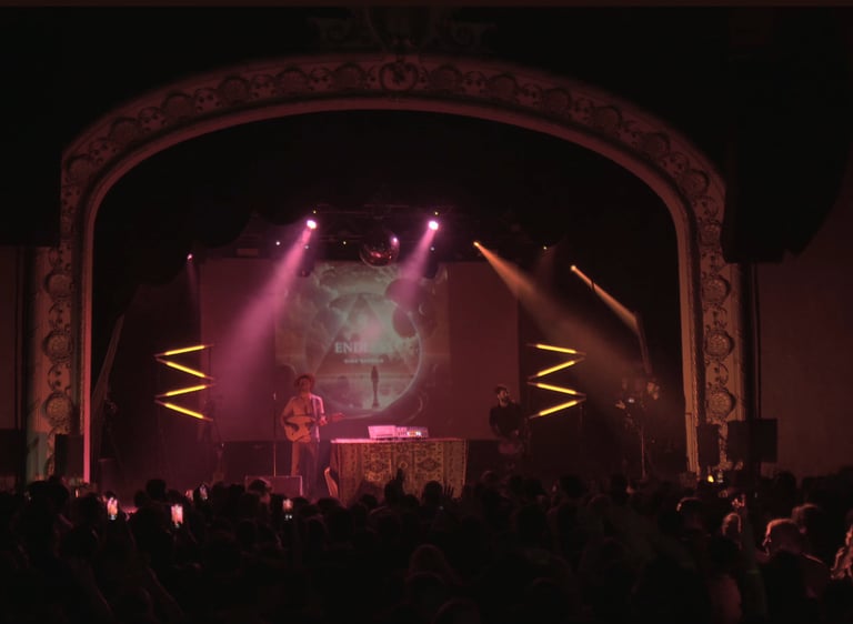 Musician performing live on a theater stage with dramatic lighting at opera house