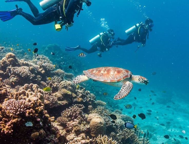 Scuba divers swimming near a sea turtle over a vibrant coral reef in clear blue tropical water.