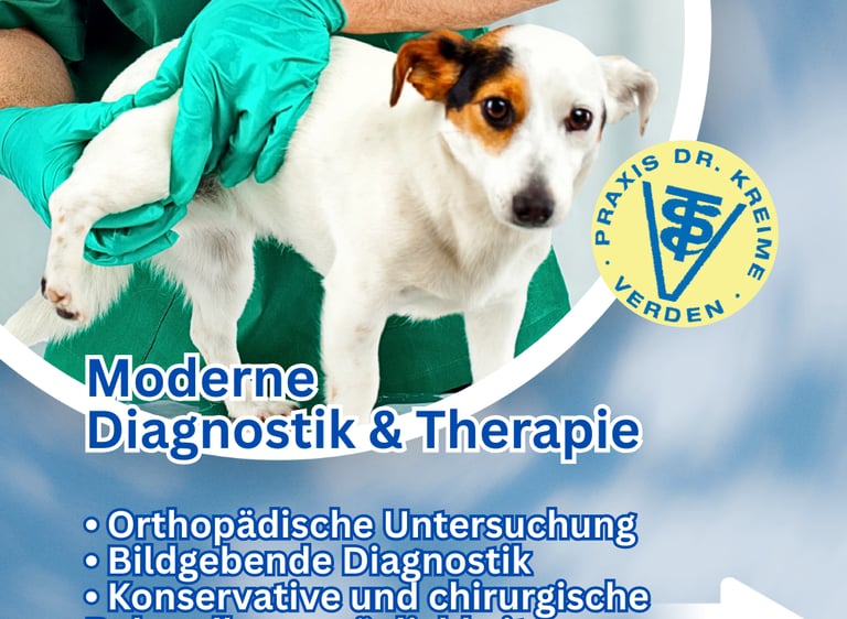 Social Media Betreuung für eine Tierarztpraxis in der Region Verden