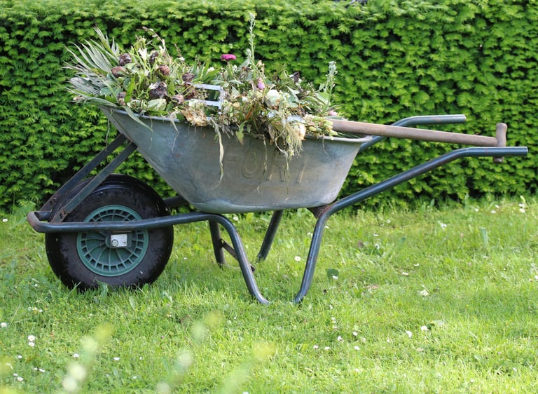 a wheelbarrow filled with plant clippings in a garden