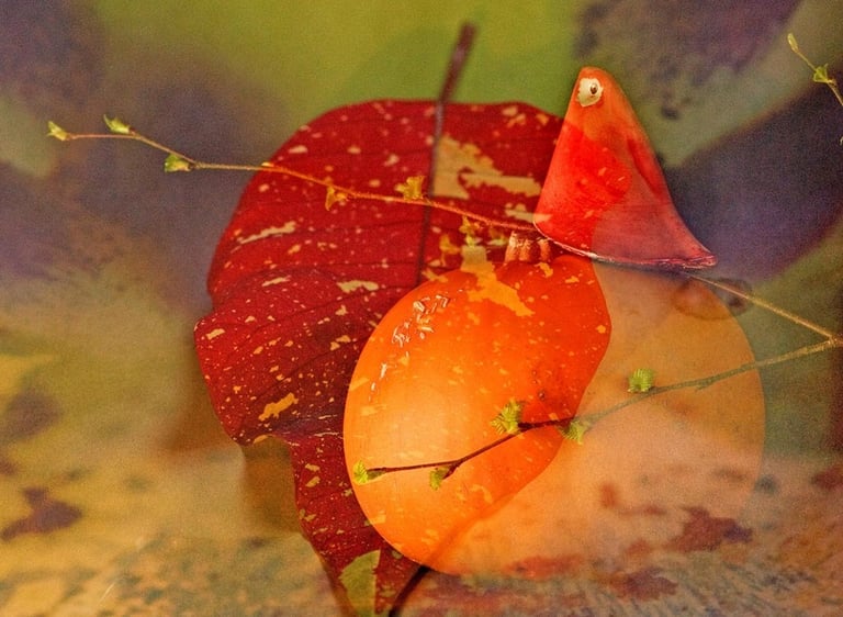 "Perched" by Marie Phelan