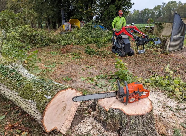 arbre au sol sur fond de chantier d'élagage