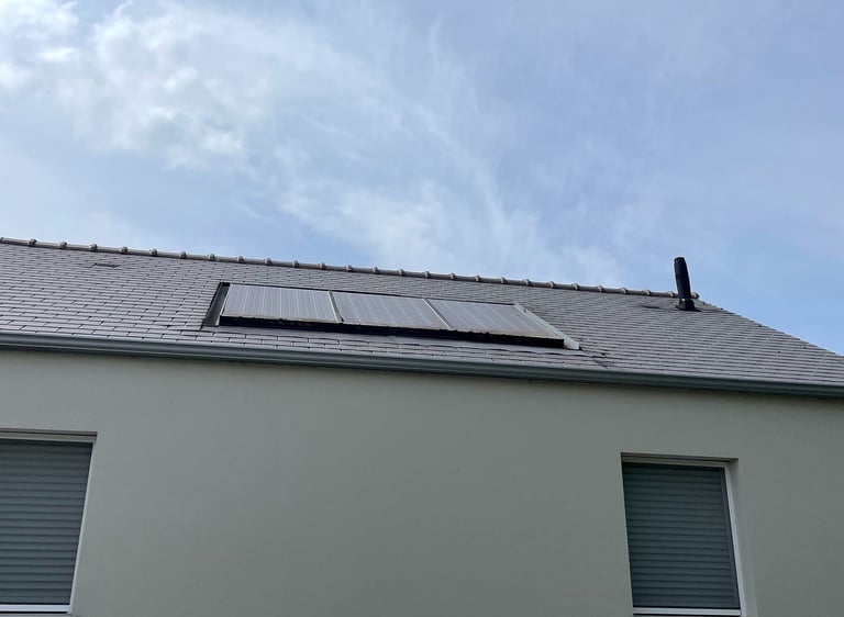 Panneaux solaires encrassés par mousse et saletés avant nettoyage, perte de performance visible.