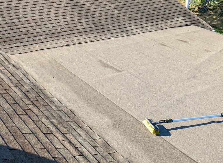 picture of unclean roof and gutters
