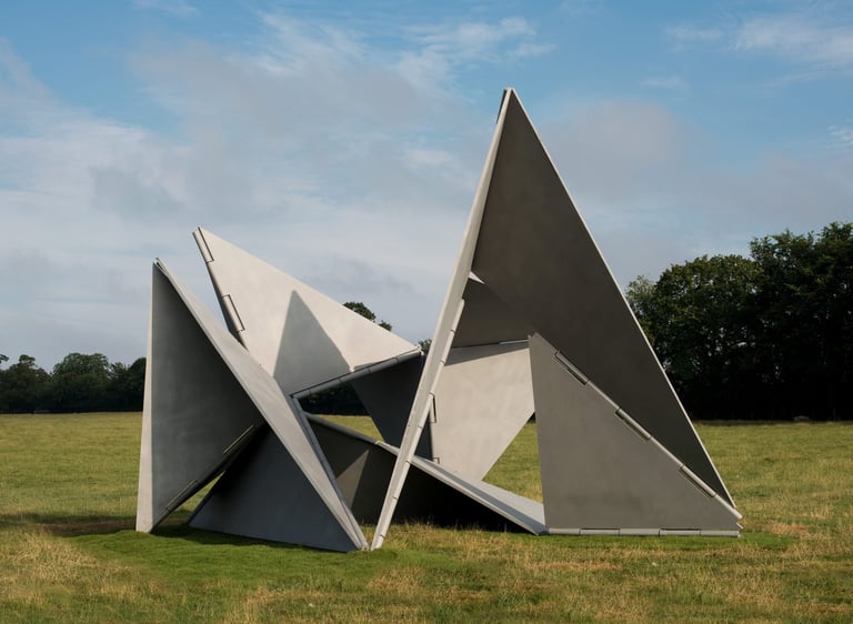 esculturas tridimensionais, como a série 'Bicho' (Climber) ou 'Trepante' (Grub] a partir de 1960.