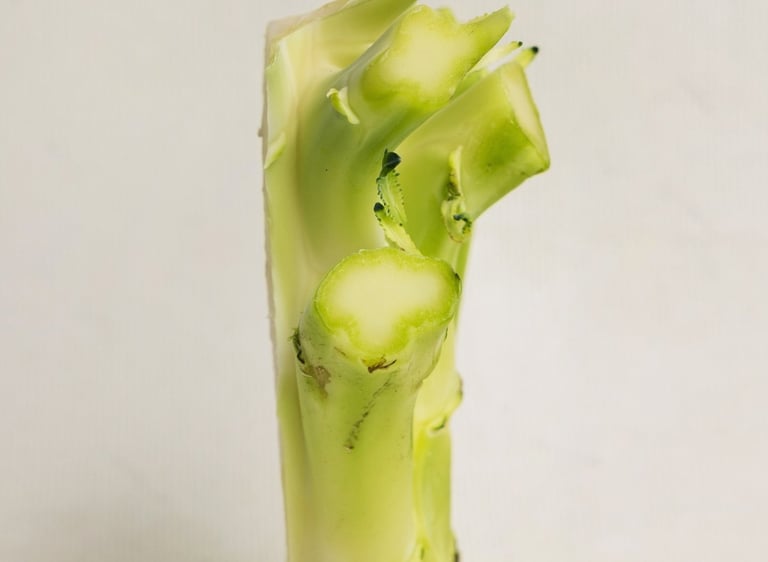 Broccoli stem