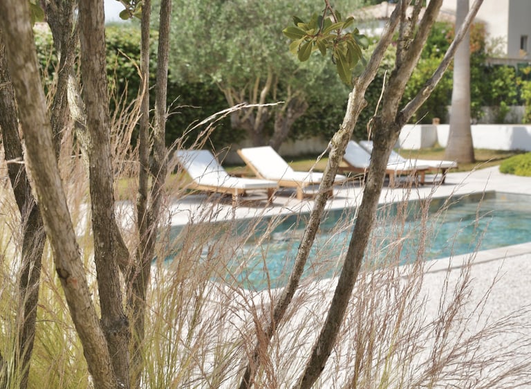 Jardin luxueux, espace piscine avec chaises longues, jardin méditerranéen avec graminées et olivier