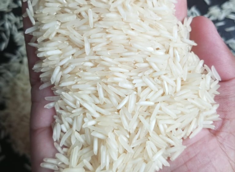 1121 Basmati Rice Exporters Of Pakistan