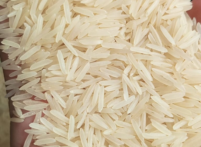 Rice Exporters Of Pakistan