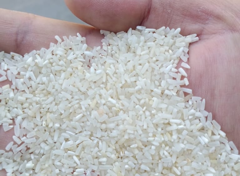 Rice Exporters Of Pakistan