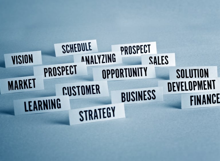 Business planning, strategy, vision, mission and opportunity