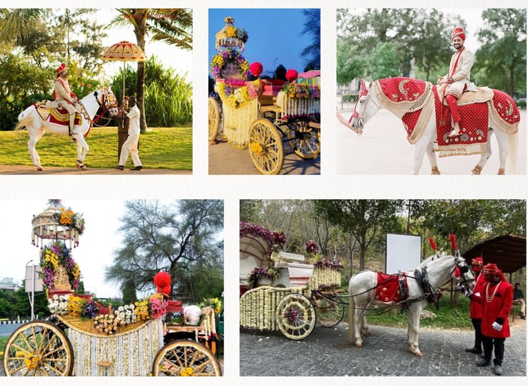 ROYAL GHODI AND BAGGI BY GEET EVENTS