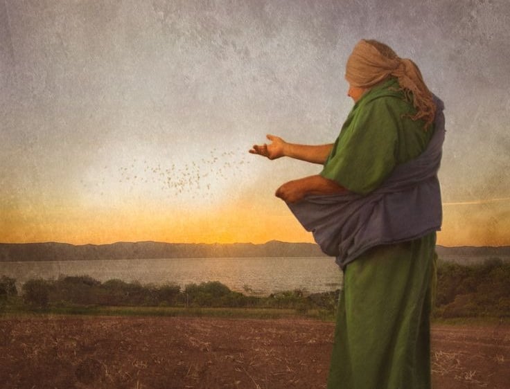 Sowing in Hope - Galatians 6:9