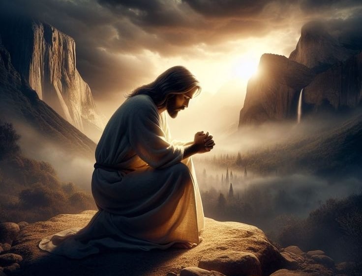The Wisdom of God