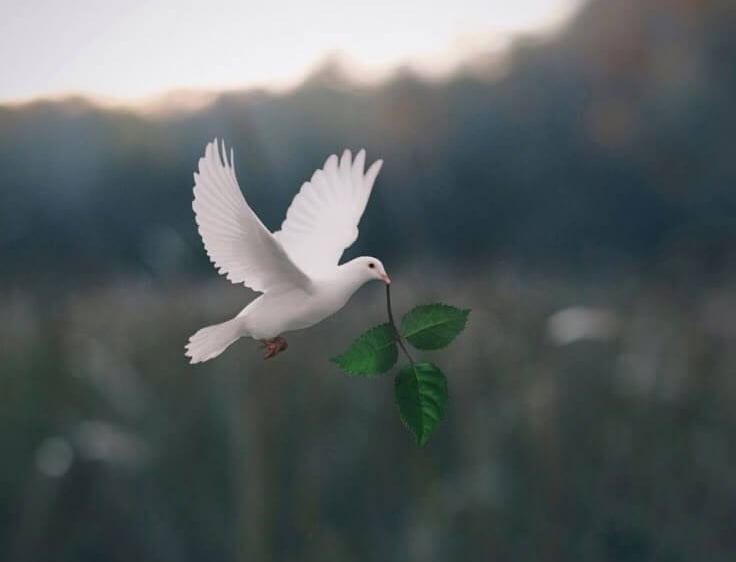 5 Prayers for Peace in the World