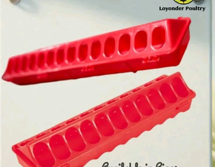 Plastic feeding trough