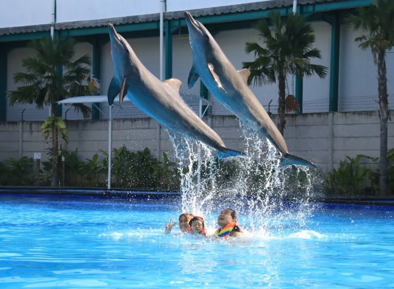 Bali Exotic Marine Park