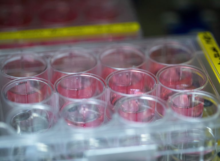 Plate of human cells being used for safer drug testing. CTIBIOTECH. Biobank.